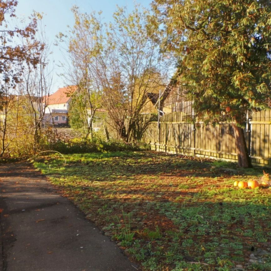 Stadtrandlage mit Grünblick,günstige 3ZI mit Parkplatz, AllgGarten - Photo 1