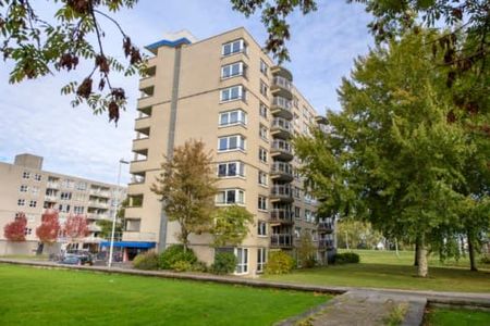 Brandkraanpad 123C - Photo 4