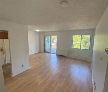 1 CH - 1 SDB - Côte Saint-Luc - $1,345 /mo - Photo 3
