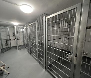 Helle 2-Zimmer Dachgeschosswohnung - 2022 saniert - Foto 1