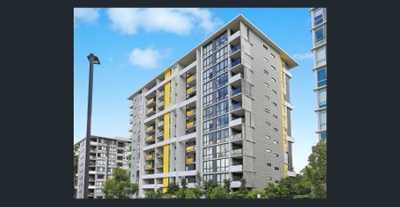 Spacious One Bedroom + Study in Prime Location - Photo 5