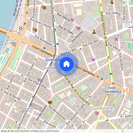 69007, Lyon 7E Arrondissement