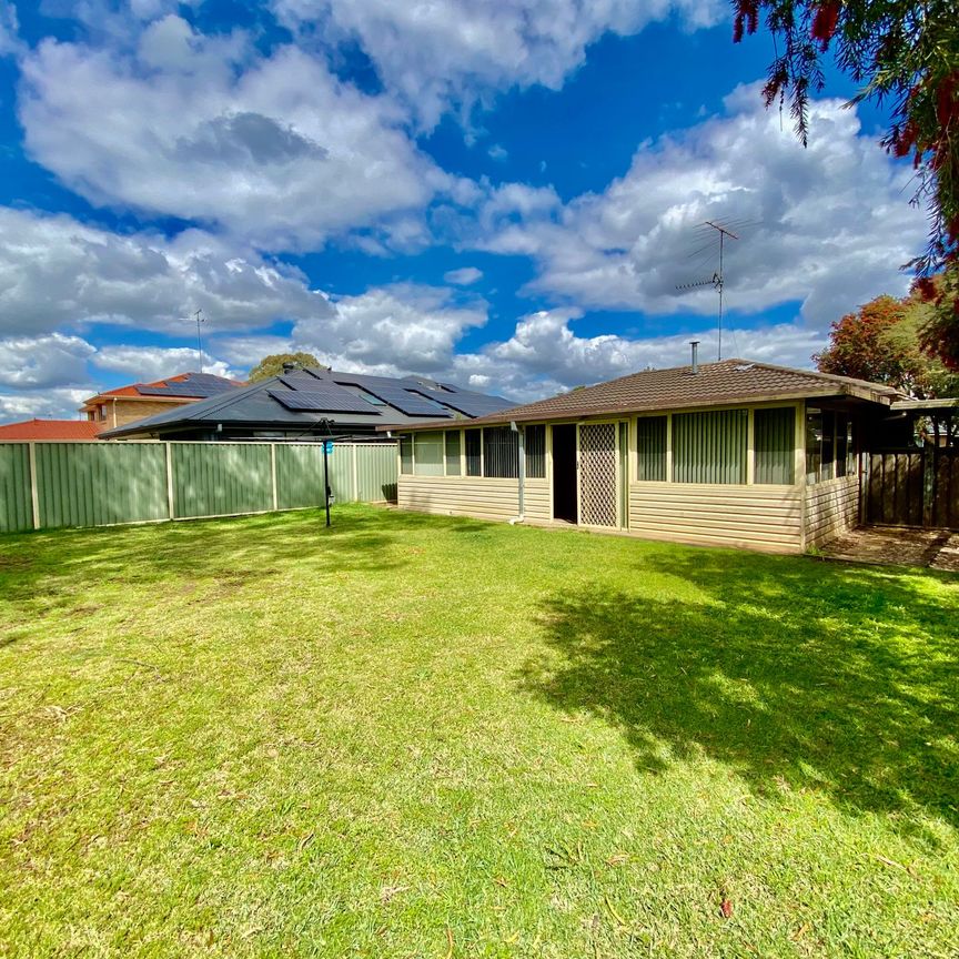 Freshly Painted 3 Bedroom Home - Photo 1