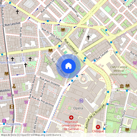 Rue Micheli-du-Crest 22, 1205 Genève