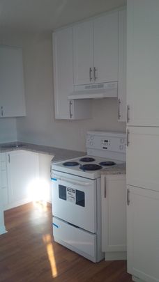 304 - 175 King Edward Avenue - Photo 1