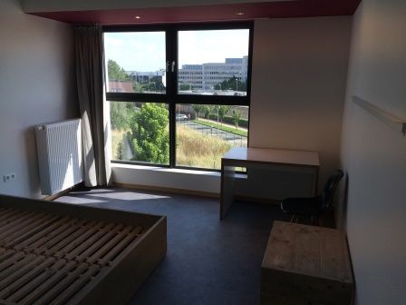 FOR STUDENTS ONLY! Studio apartment for rent at THE LINK - Photo 2