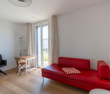 Wunderschöne 4.5-Zimmer-Attika mit Weitblick - Photo 2