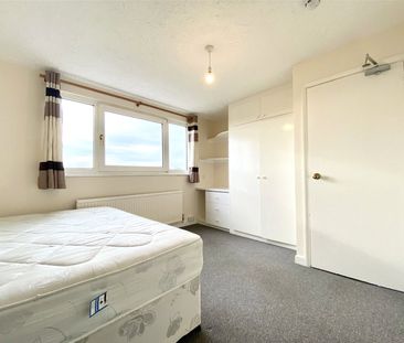 1 Bedroom - Photo 3