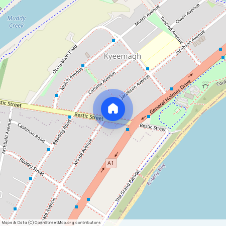 160a Bestic Street, NSW 2216, Kyeemagh