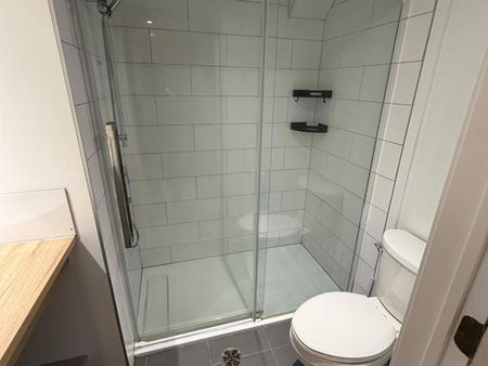 126 Rue Mont Royal - Photo 4