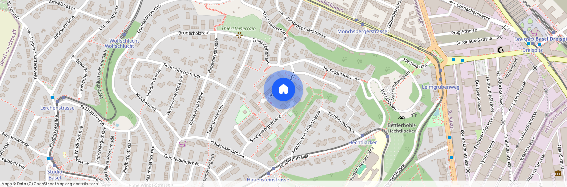 Löwenbergstrasse 21, 4059 Basel, Lageplan