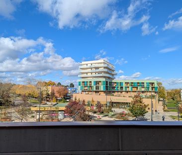 Appartement T2 Quetigny à louer - Photo 3