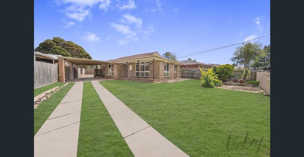 Spacious & Sunlit Living - Photo 1