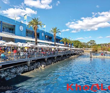 B8/40 Saunders Street, Pyrmont NSW 2009 - Apartment For Rent | Domain - Photo 3