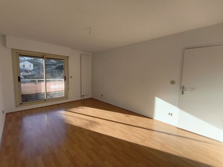 Location Appartement 5 pièces 180m² CHAMALIERES 63400 - Photo 4