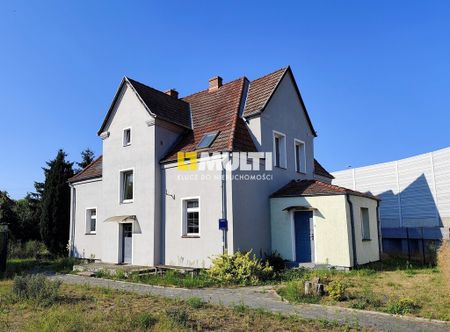 Lokal/mieszkanie do wynajęcia. 90m2 - Photo 5