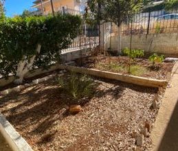 Μονοκατοικία για ενοικίαση - Μαρκόπουλο, - Photo 4