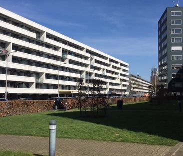 Boksdoornerf, 657 - Foto 1