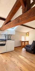 Location Appartement 1 pièce 17m² MACON 71000 - Photo 4