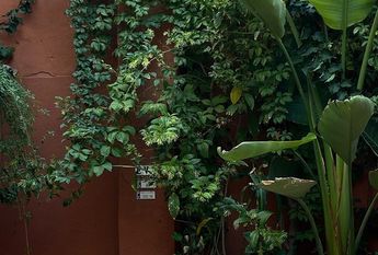 29 C/ de Georges Bernanos, Palma de Mallorca, Balearic Islands 07015