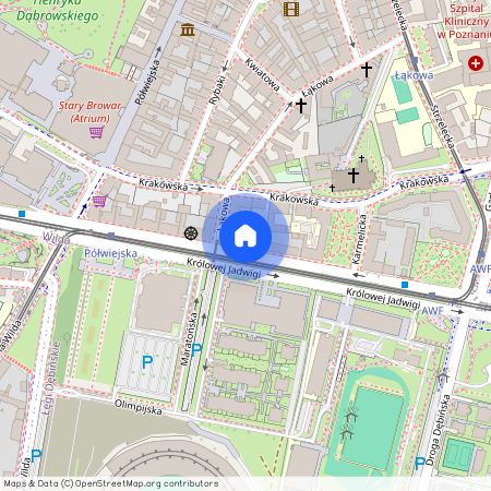 ul. Królowej Jadwigi, Centrum, Stare Miasto, Poznań, wielkopolskie