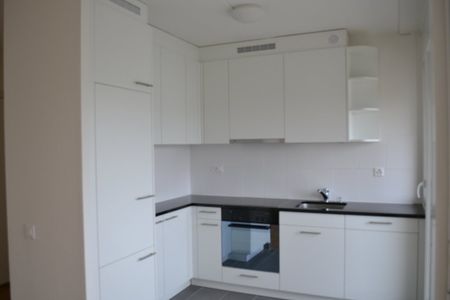 Gradelle - Au dessus du parc des Eaux-Vives - Photo 2