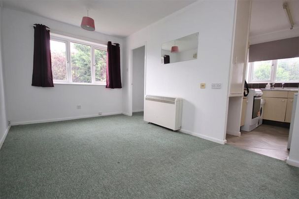 Studio to rent - Photo 1