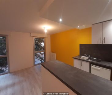Location Appartement T1 Toulouse 1 chambre - Photo 3