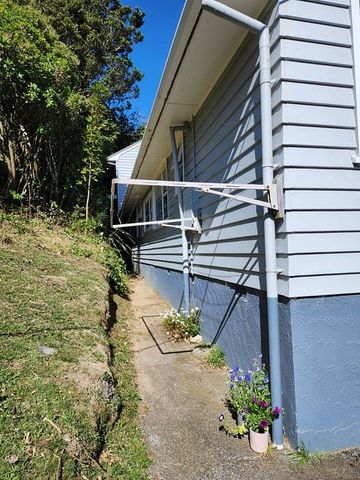 Bright, warm, sunny home, close to Zealandia - Photo 2