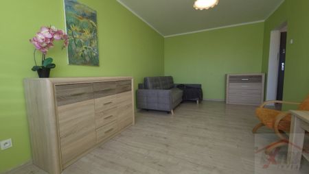 Ładna Kawalerka! 33 m2. Osobna kuchnia. (437561) - Zdjęcie 4