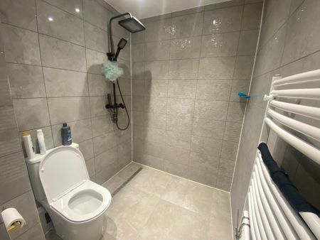 Room in a Shared House, Redriffe Road, E13 - Photo 4