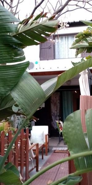 Location Appartement 3 pièces 56m² ST GILLES LES BAINS 97434 - Photo 1