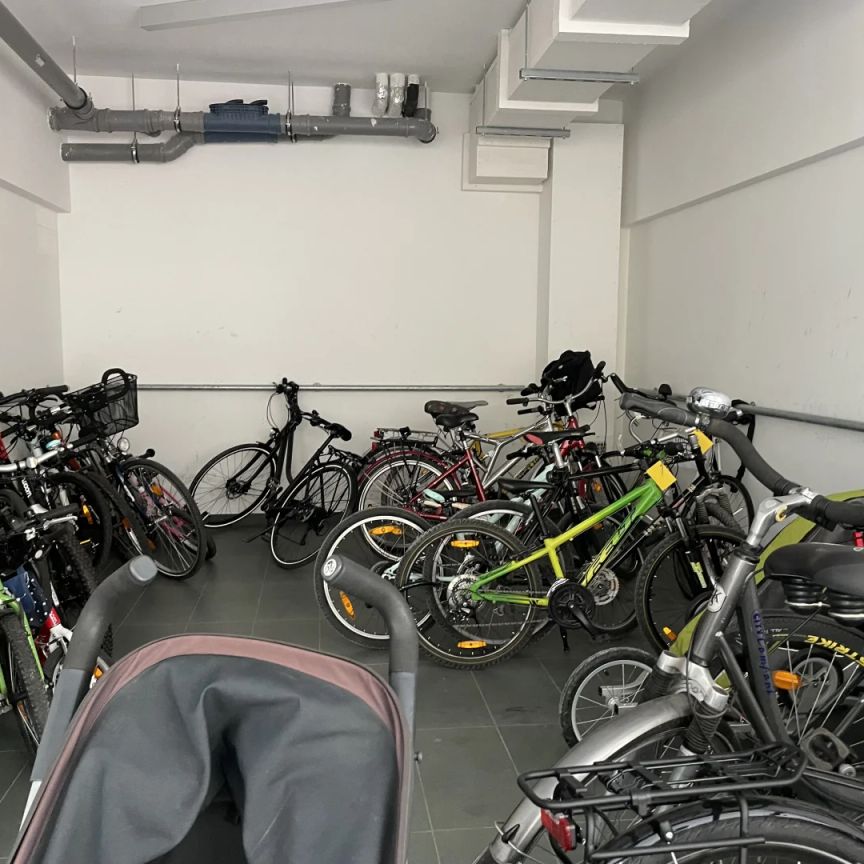 Beautiful and furnished 107 m² 4 room apartment with terracce for rent in 1210 Vienna located directly at the Obere Alte Donau! - Foto 1