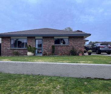 Sunny 3BR Papamoa Home - Photo 4