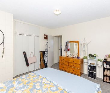 Chic 1BR Apartment in Whitiora! - Photo 5