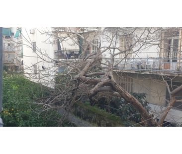 Ενοικίαση κατοικίας, 60 τ.μ., Αθήνα, 450 € - Photo 2