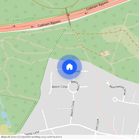Danesmead Beech Close, Cobham, Surrey KT11