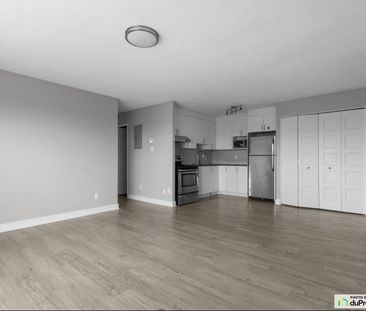 404-88, Rue Front, Gatineau (Aylmer) à louer - Photo 5