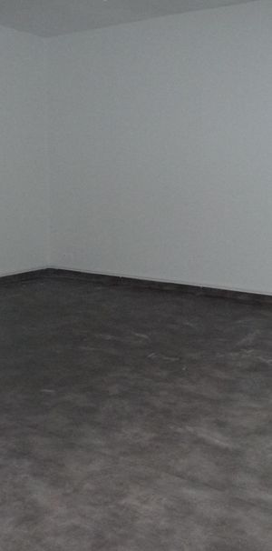 Location Appartement 1 pièce 45m² ST ETIENNE 42100 - Photo 1