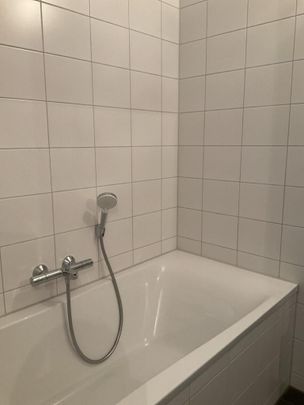 Pampuskade - Foto 1