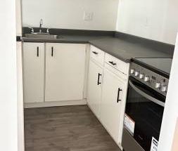 *VGH Cambie/14th*Modern 1 Br Apt*Laminate Floors**Value* - Photo 1