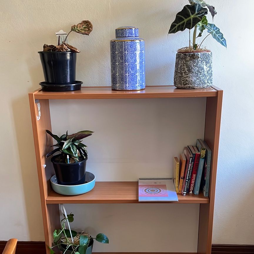 Malvern East - Photo 1