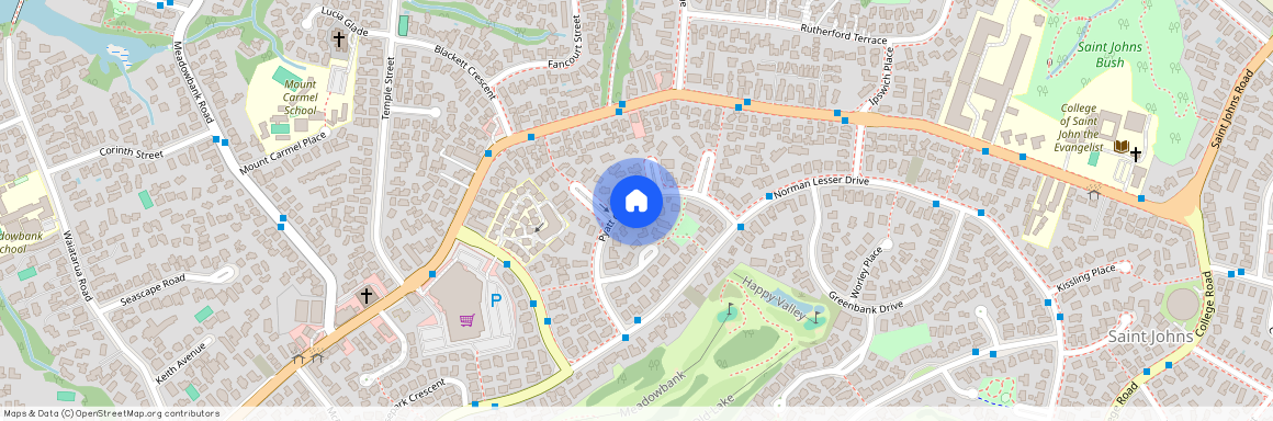 19 Pyatt Crescent, Saint Johns, Auckland