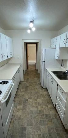 1 bedroom Suite - Avail Dec 1st Early move-in possible!! - Photo 1