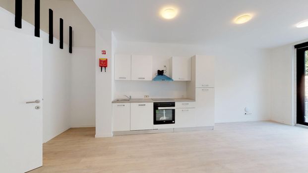 Beautiful, spacious studio with garden! - foto 1