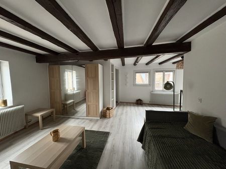 Appartement 1 pièce à Strasbourg - Photo 5
