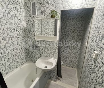 Pronájem bytu 1+1 • 38 m² bez realitkyPod Parkem, Ústí nad Labem - ... - Photo 3