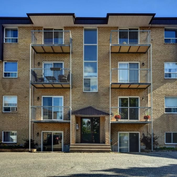 Appartement 4 1/2 - 1er août 2025 - Lévis - Photo 1