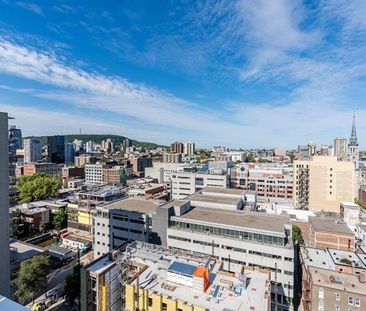 1150 Rue St Denis - Photo 2