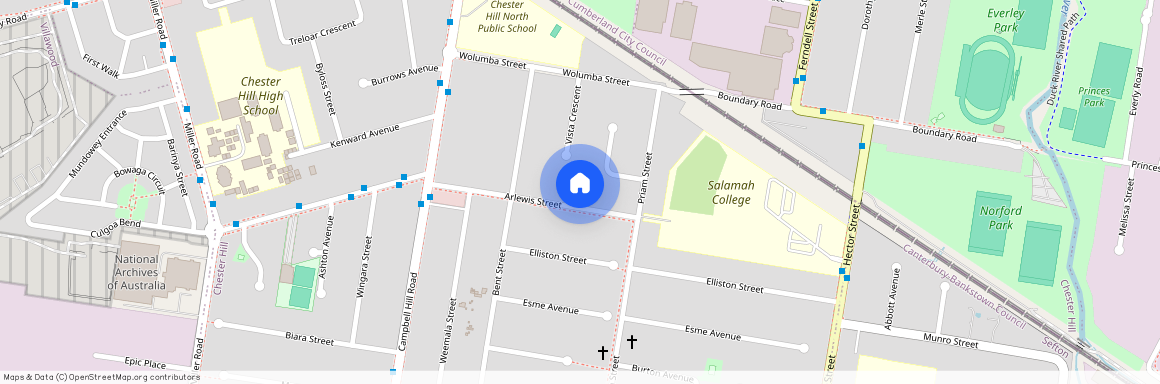 12 Arlewis Street, NSW 2162, Chester Hill